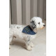 Bandana perro Argentina